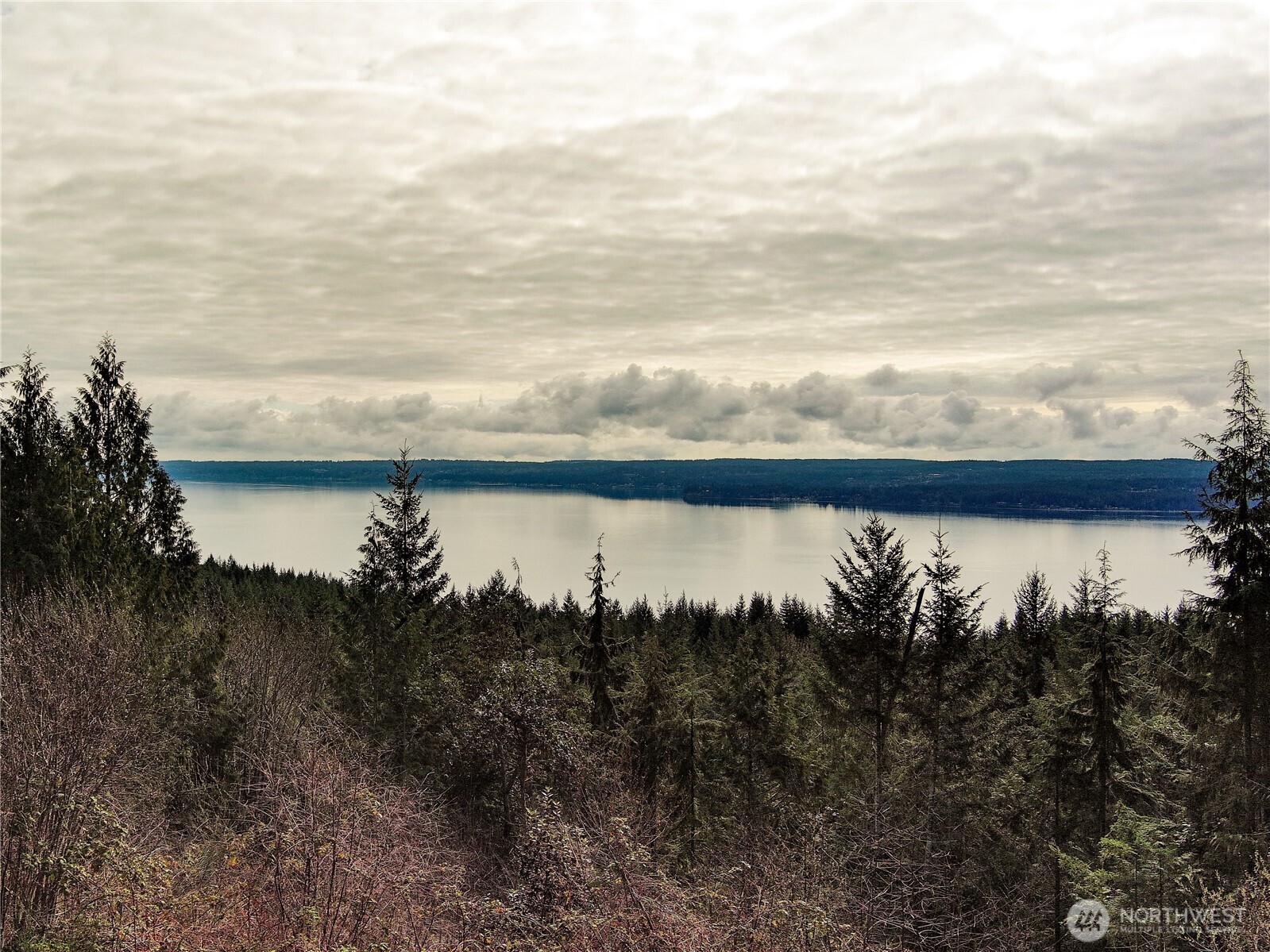 1634 Sunrise Road Brinnon, WA 98320 - Photo 1 of 29 a view of a lake from a yard