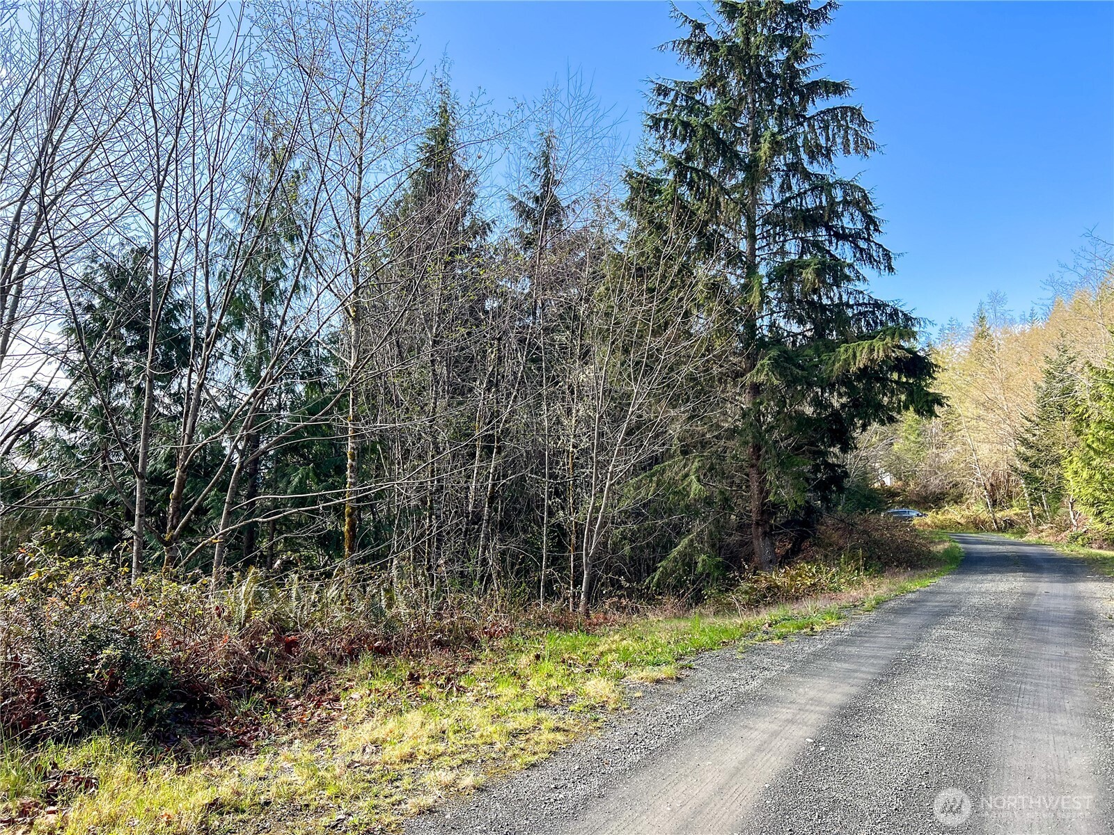 1634 Sunrise Road Brinnon, WA 98320 - Photo 11 of 29 a view of outdoor space and yard