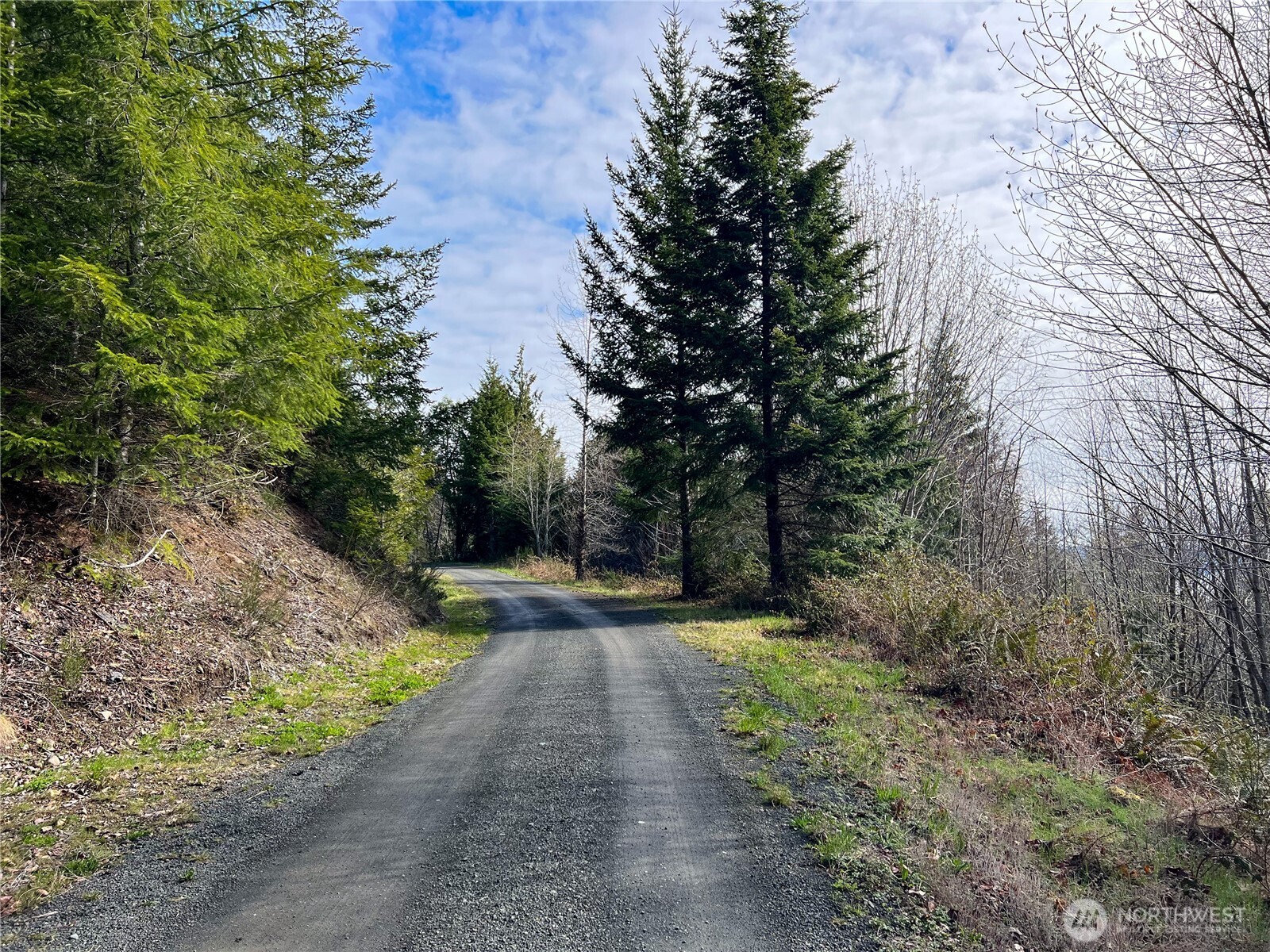 1634 Sunrise Road Brinnon, WA 98320 - Photo 12 of 29 a view of a yard with plants and trees