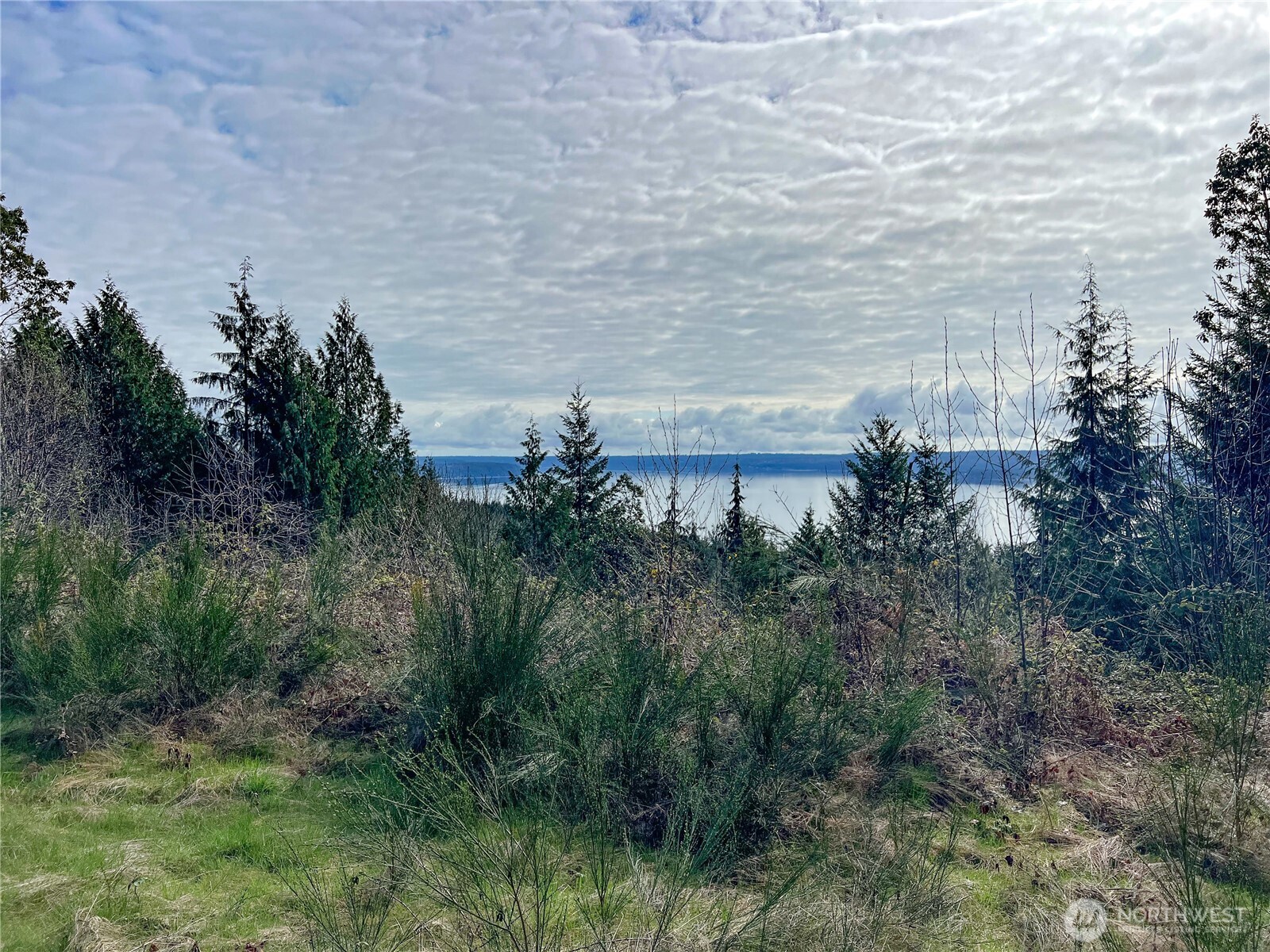 1634 Sunrise Road Brinnon, WA 98320 - Photo 13 of 29 a view of a lake with a building in front of it