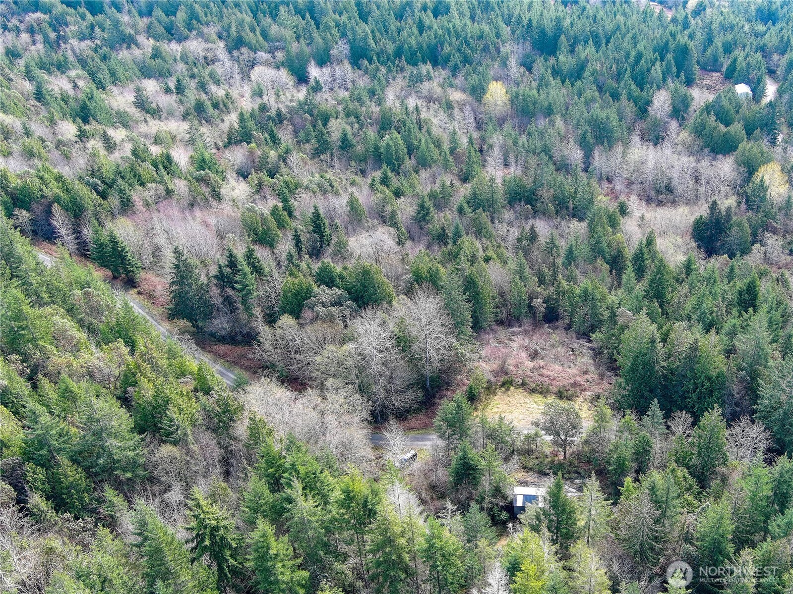 1634 Sunrise Road Brinnon, WA 98320 - Photo 18 of 29 a view of a forest with a tree