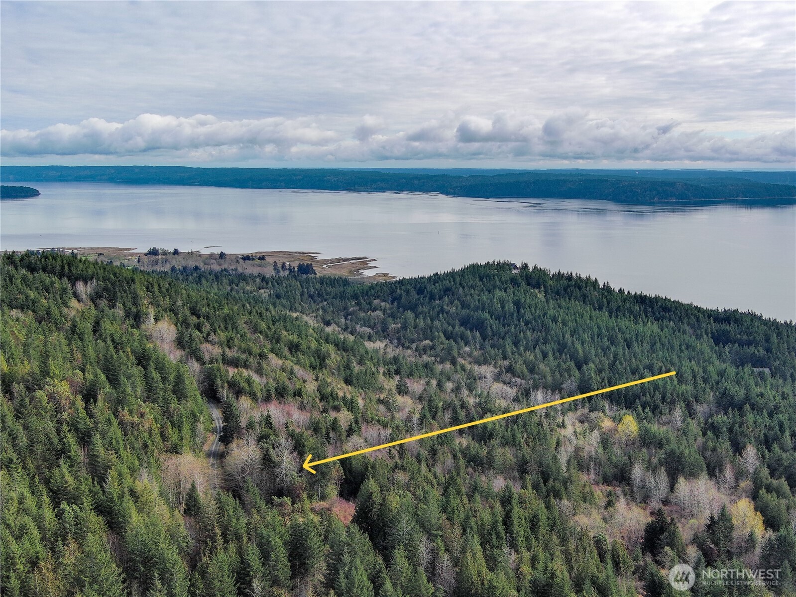 1634 Sunrise Road Brinnon, WA 98320 - Photo 19 of 29