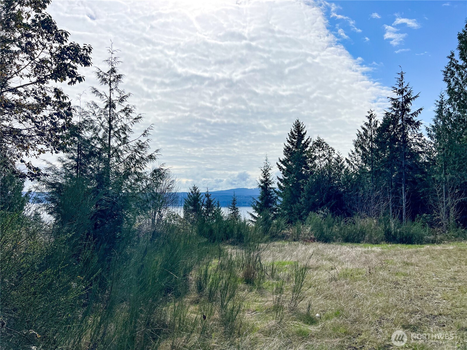 1634 Sunrise Road Brinnon, WA 98320 - Photo 2 of 29 a view of a yard