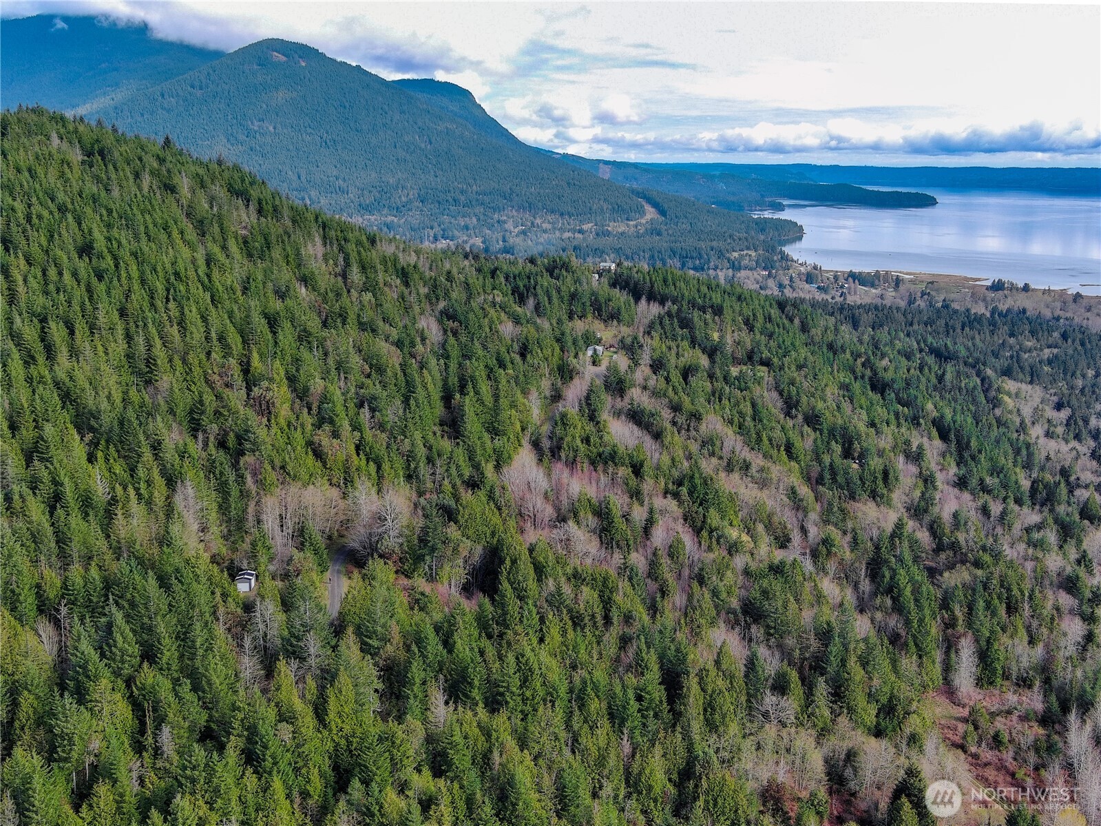1634 Sunrise Road Brinnon, WA 98320 - Photo 22 of 29 a view of a lush green hillside and a houses