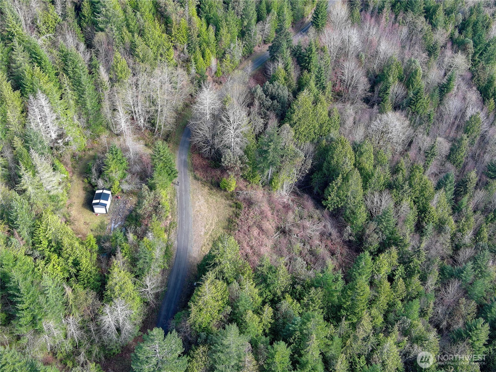 1634 Sunrise Road Brinnon, WA 98320 - Photo 24 of 29 an aerial view of residential house with outdoor space and trees all around