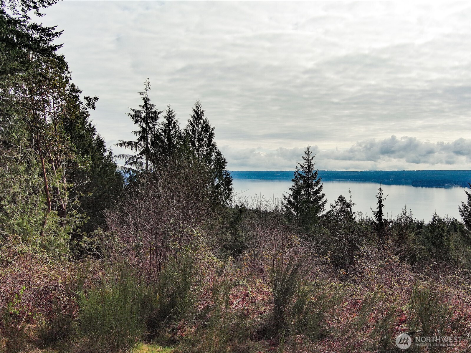 1634 Sunrise Road Brinnon, WA 98320 - Photo 26 of 29 a view of a lake and mountain in the back