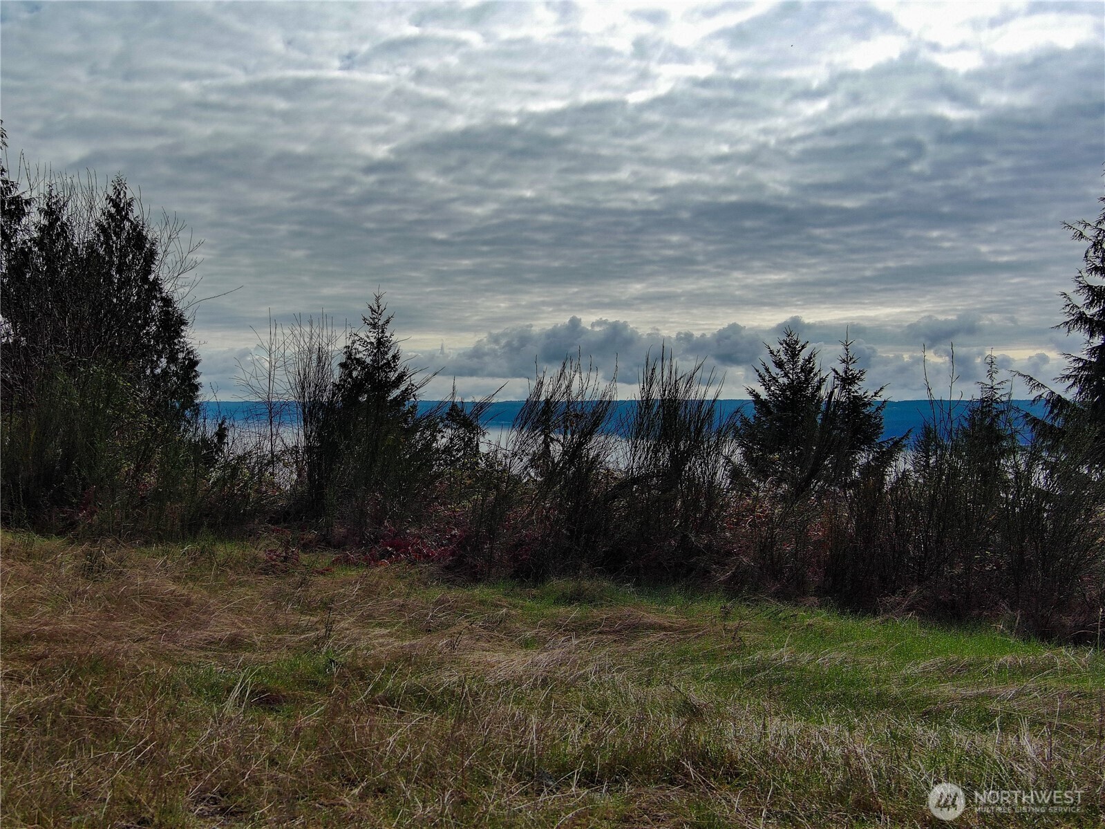 1634 Sunrise Road Brinnon, WA 98320 - Photo 27 of 29 a view of a pathway both side of building