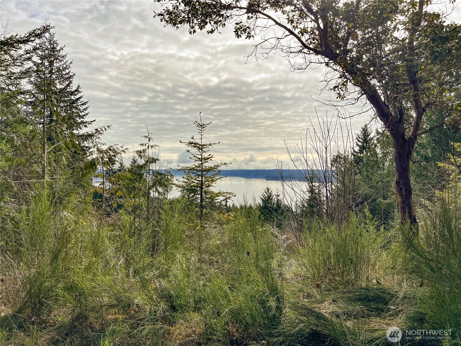 1634 Sunrise Road Brinnon, WA 98320 - Photo 28 of 29