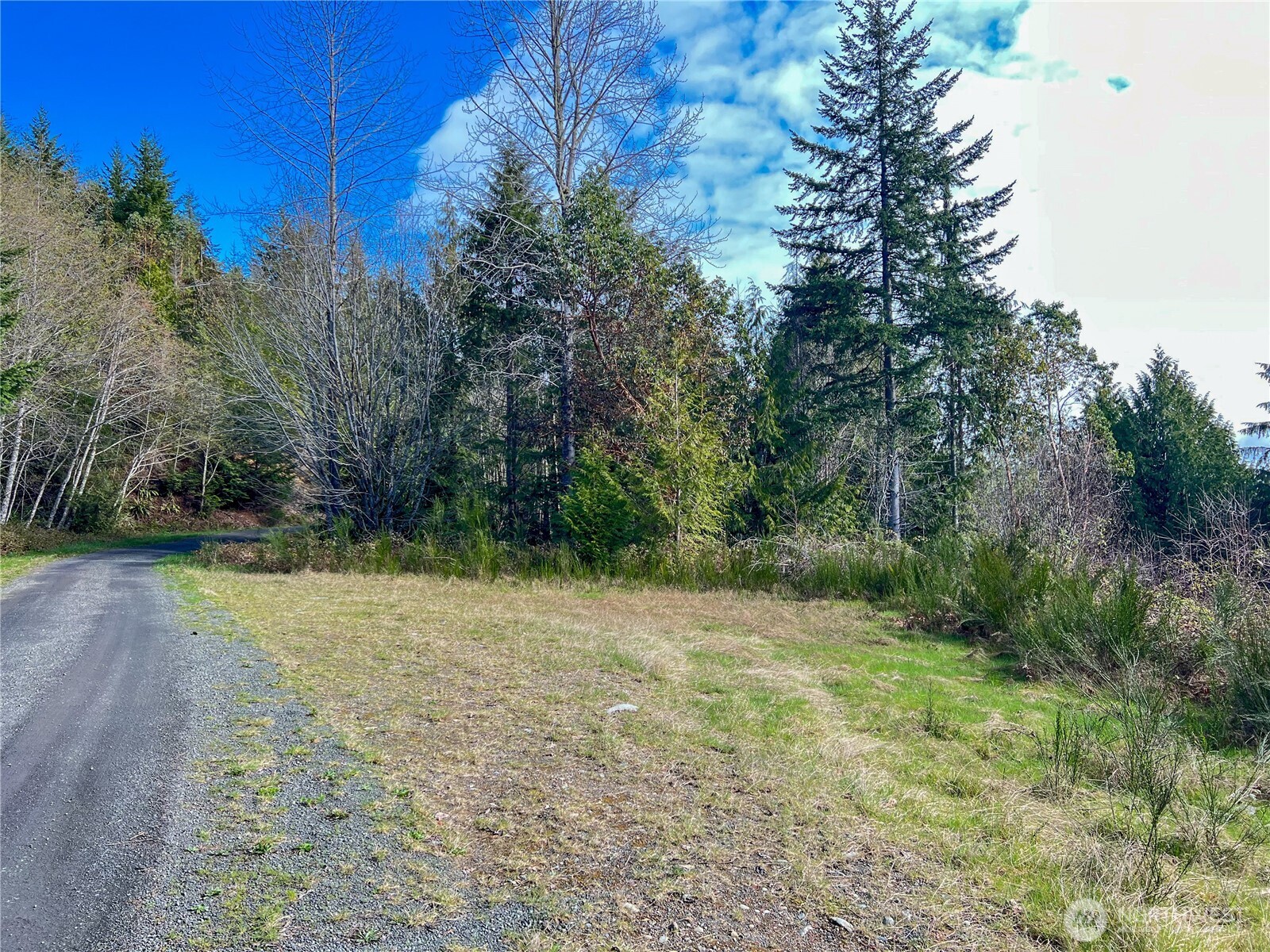 1634 Sunrise Road Brinnon, WA 98320 - Photo 10 of 29 a view of a yard with trees
