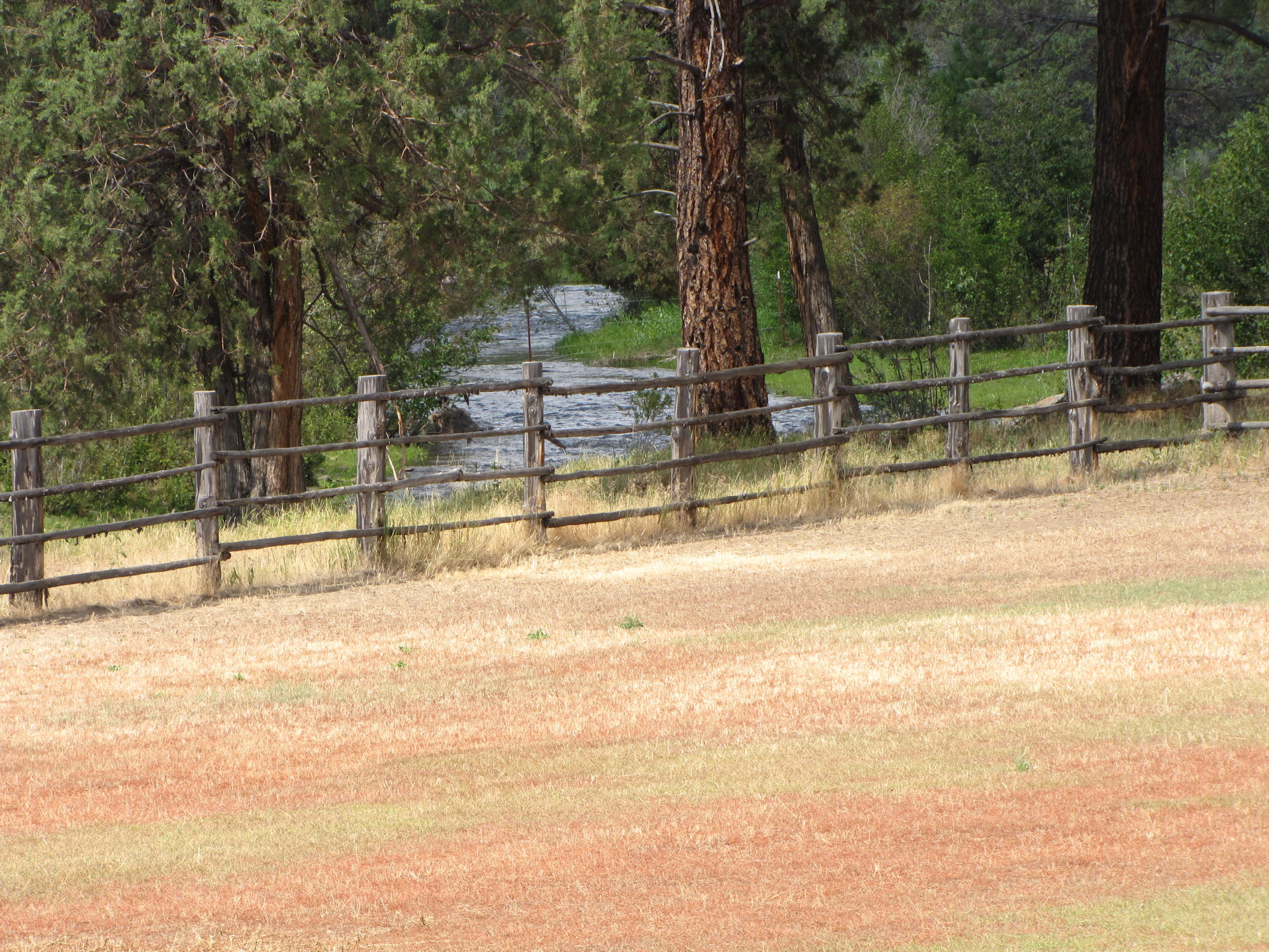 23251 Campbell Road Bly, OR 97622 - Photo 4 of 11 7-16-19 - 5 306