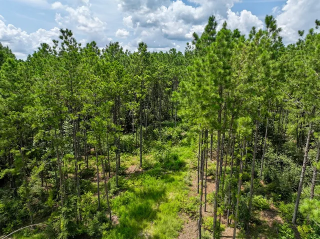 a view of a green yard