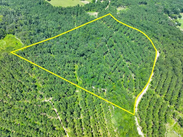 a view of a tennis court