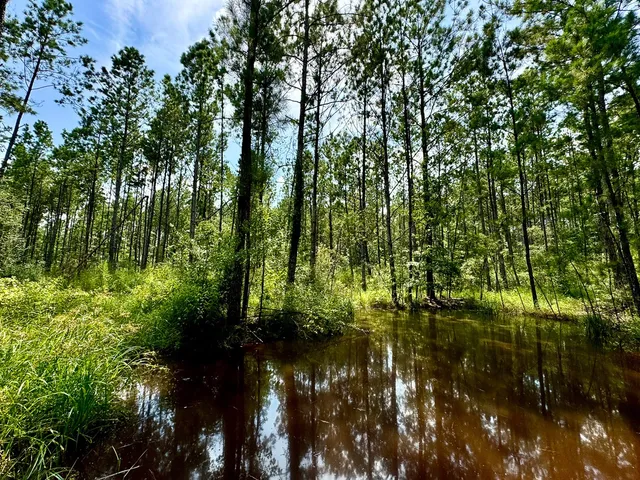a view of lake from deck