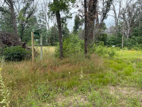 $10,000 | 102 East Peoria Avenue, Idlewild, MI 49642