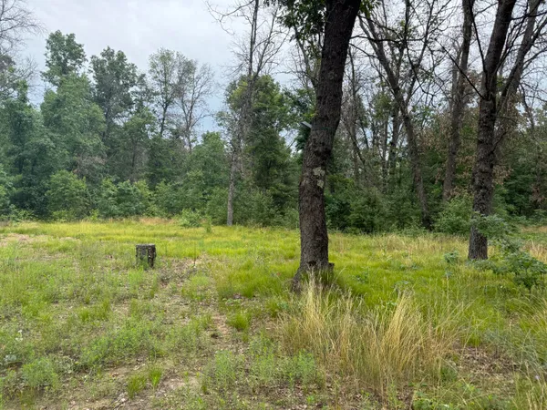 $10,000 | 102 East Peoria Avenue, Idlewild, MI 49642