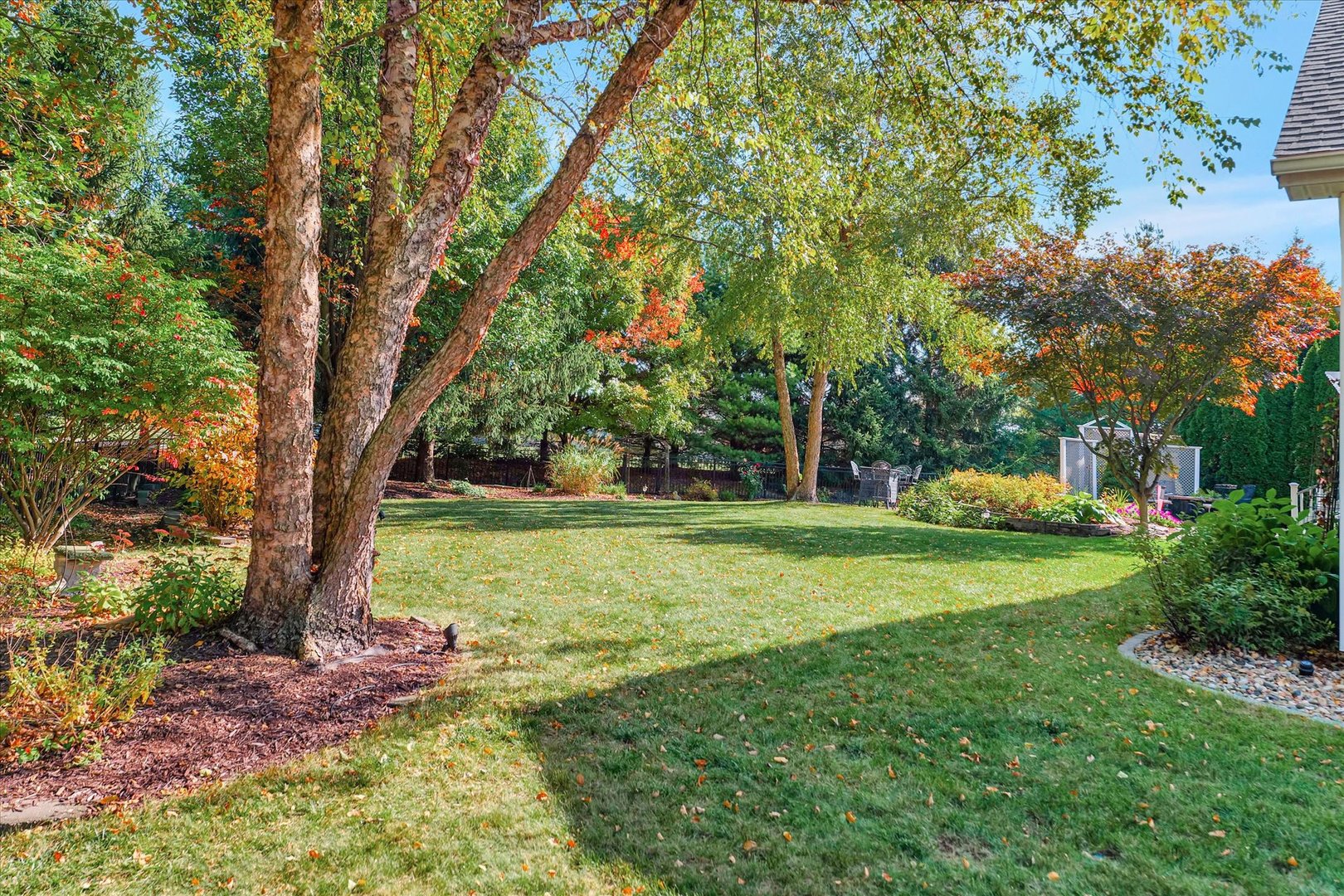 3002 Country Bend Lane Champaign, IL 61822 - Photo 40 of 48 a view of a backyard with large trees