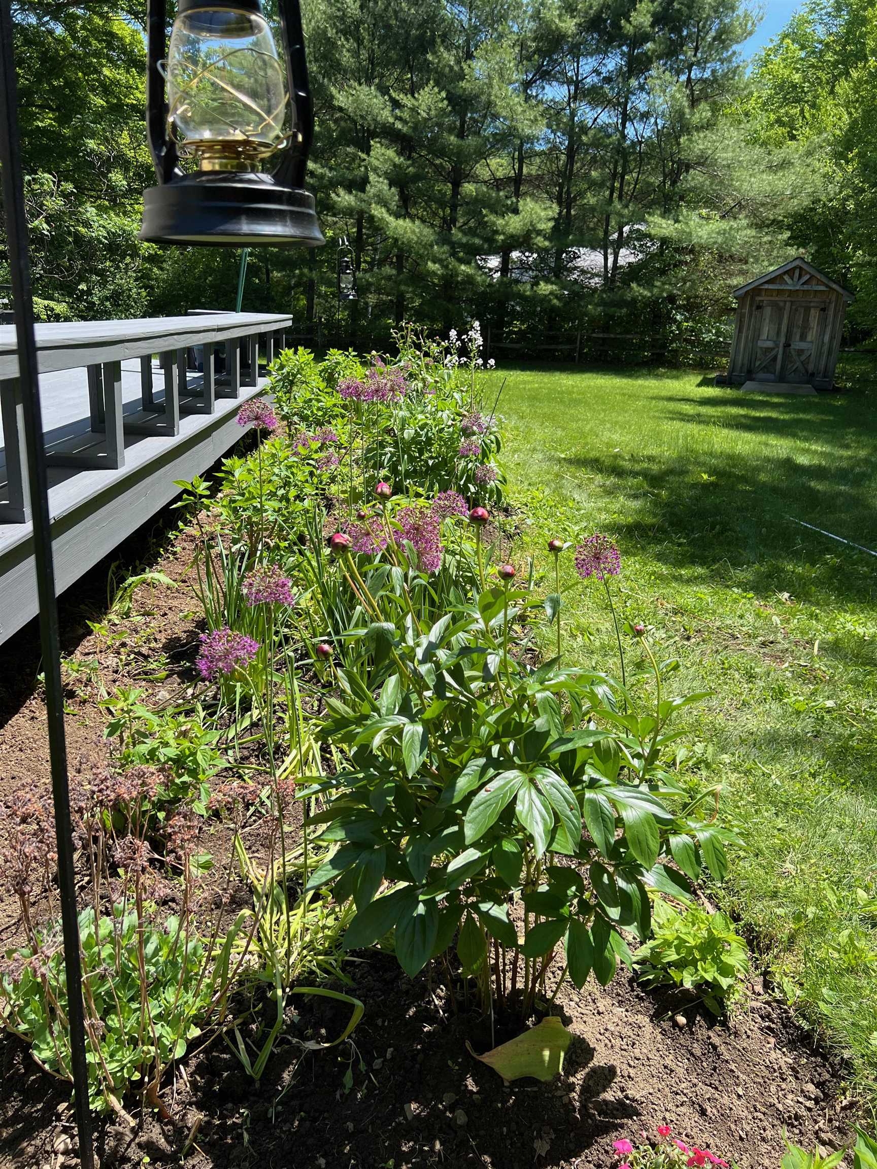 358 Cowdrey Path Woodstock, VT 05071 - Photo 37 of 46