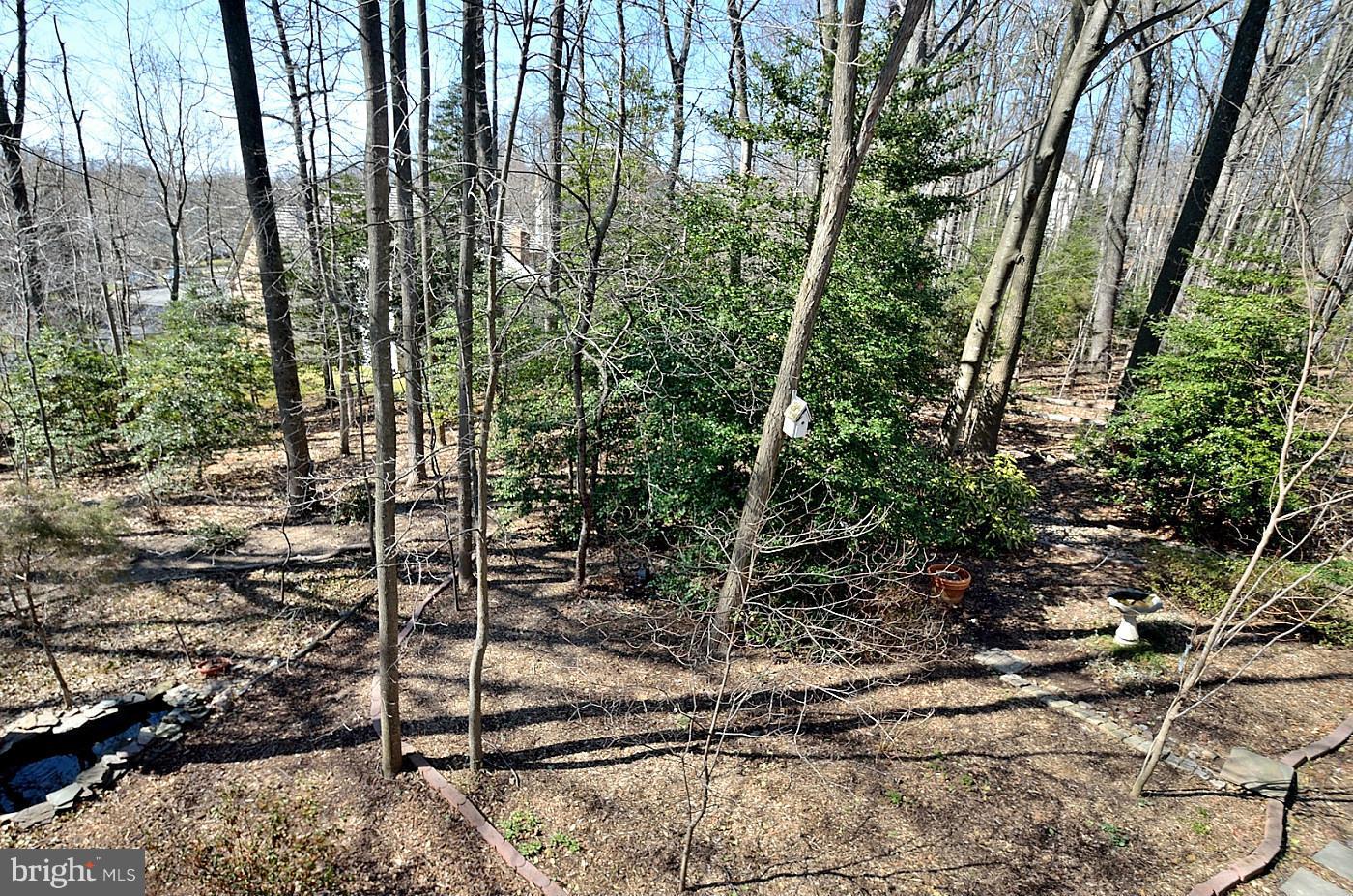 11637 Quail Ridge Court Reston, VA 20194 - Photo 19 of 20 Exterior (Rear)