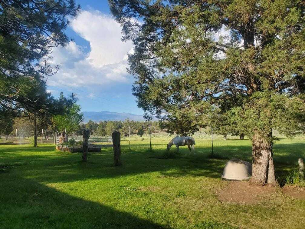 17703 Fishhole Creek Road Bly, OR 97622 - Photo 15 of 34 IMG-20260330-WA0018