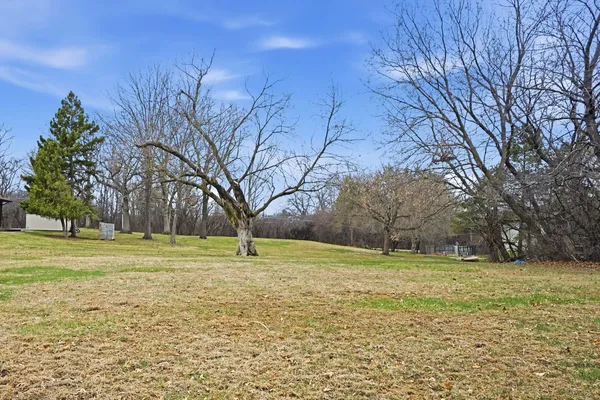 a view of a field with a trees