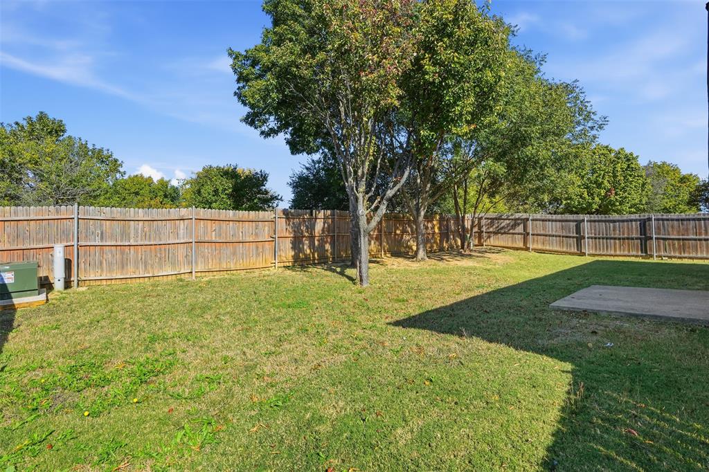 8704 Serenity Way Denton, TX 76210 - Photo 21 of 29 a view of outdoor space with garden and trees