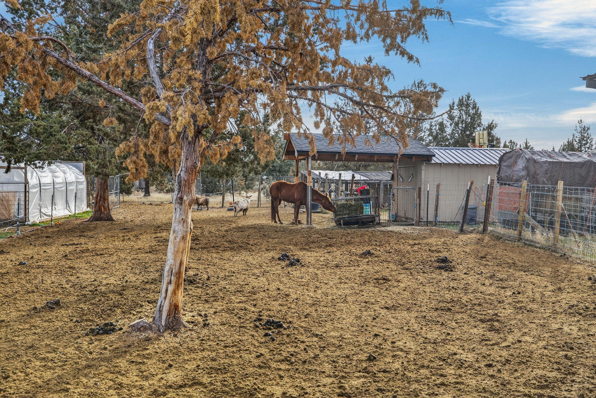 12916 Southwest Wheat Grass Road Terrebonne, OR 97760 - Photo 35 of 44