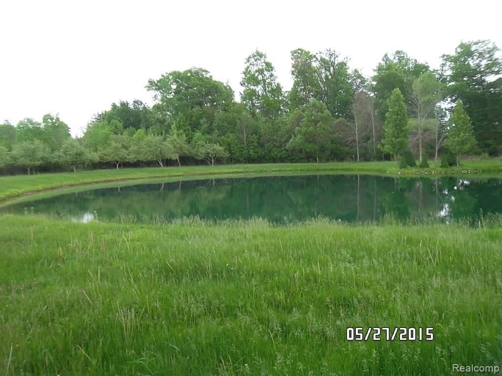 4828 Breen Road Emmett, MI 48022 - Photo 7 of 24 SAM_3781.jpg