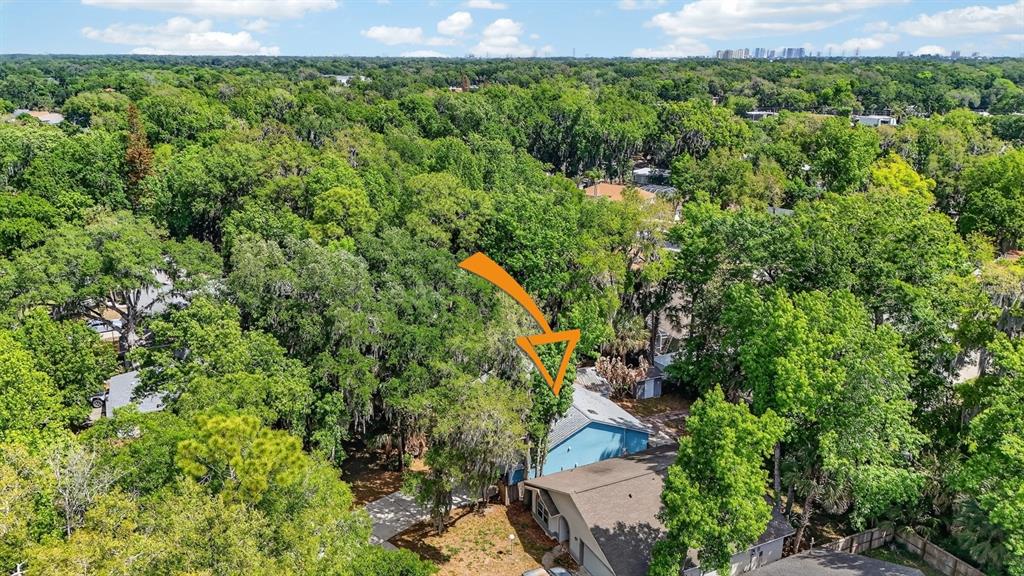 3639 Old Hammock Road Port Orange, FL 32129 - Photo 44 of 57