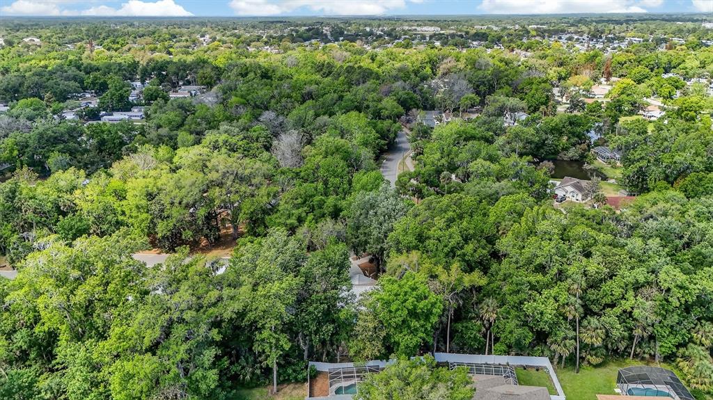 3639 Old Hammock Road Port Orange, FL 32129 - Photo 46 of 57