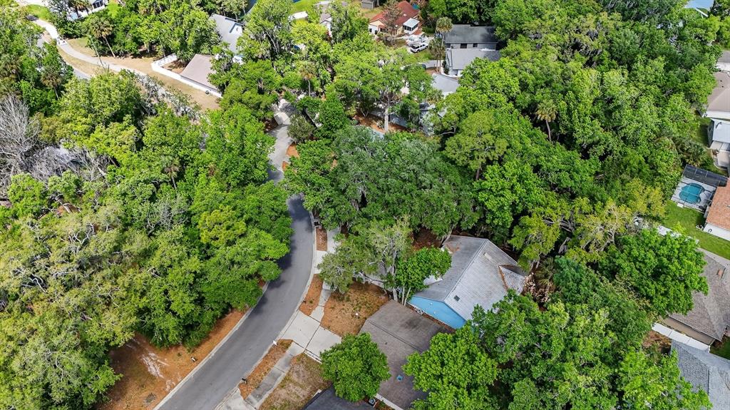 3639 Old Hammock Road Port Orange, FL 32129 - Photo 48 of 57