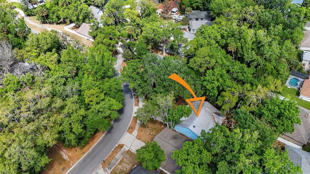 3639 Old Hammock Road Port Orange, FL 32129 - Photo 49 of 57