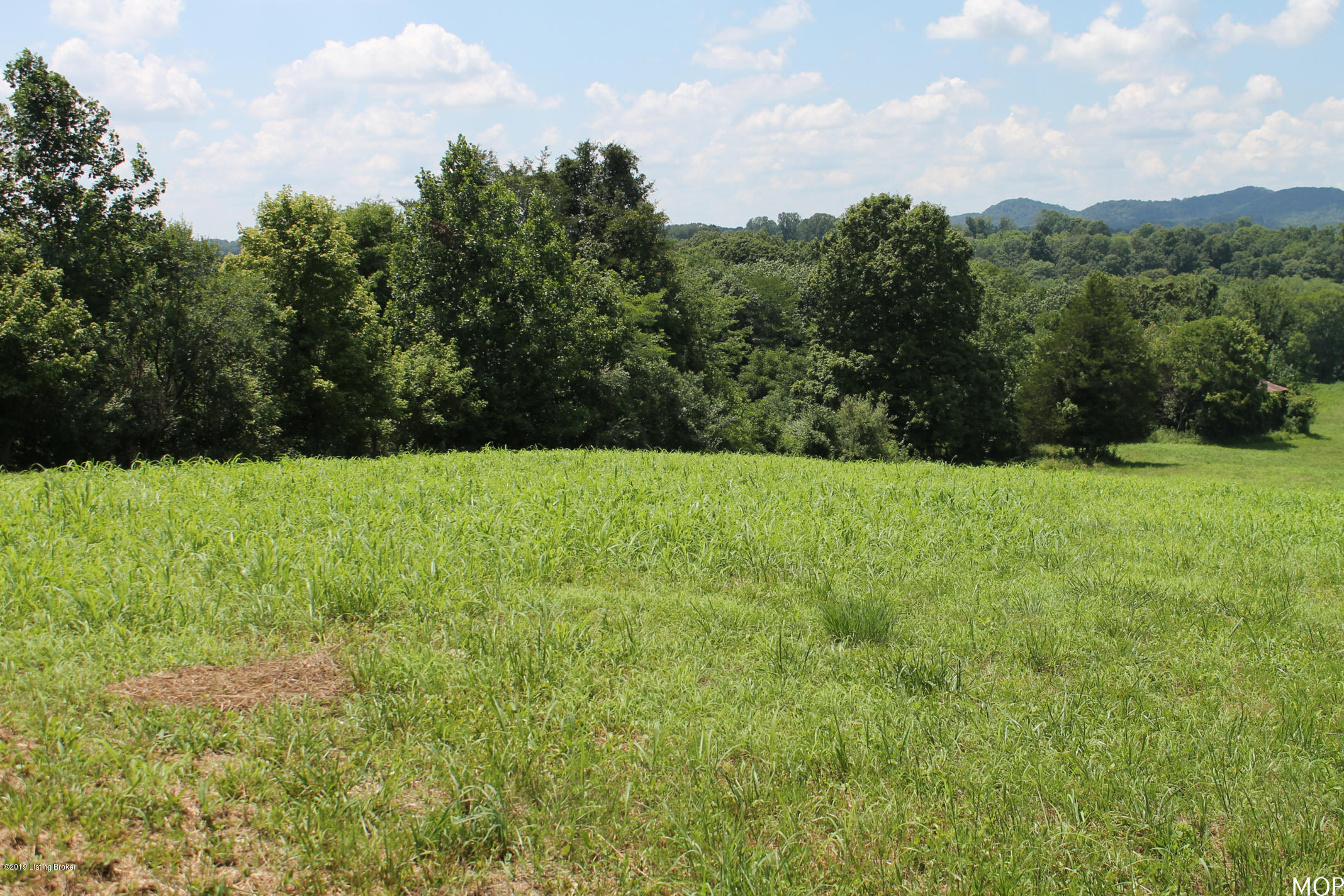 1000 Figett Bend Road Canmer, KY 42722 - Photo 6 of 61 IMG_2283