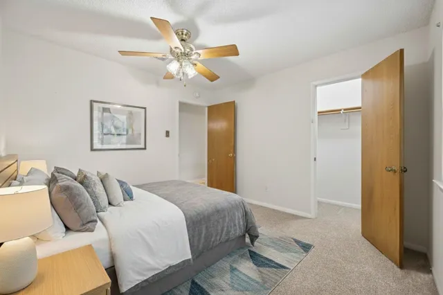 $1,750 | 2210 County Road 769B, Brazoria, TX 77422