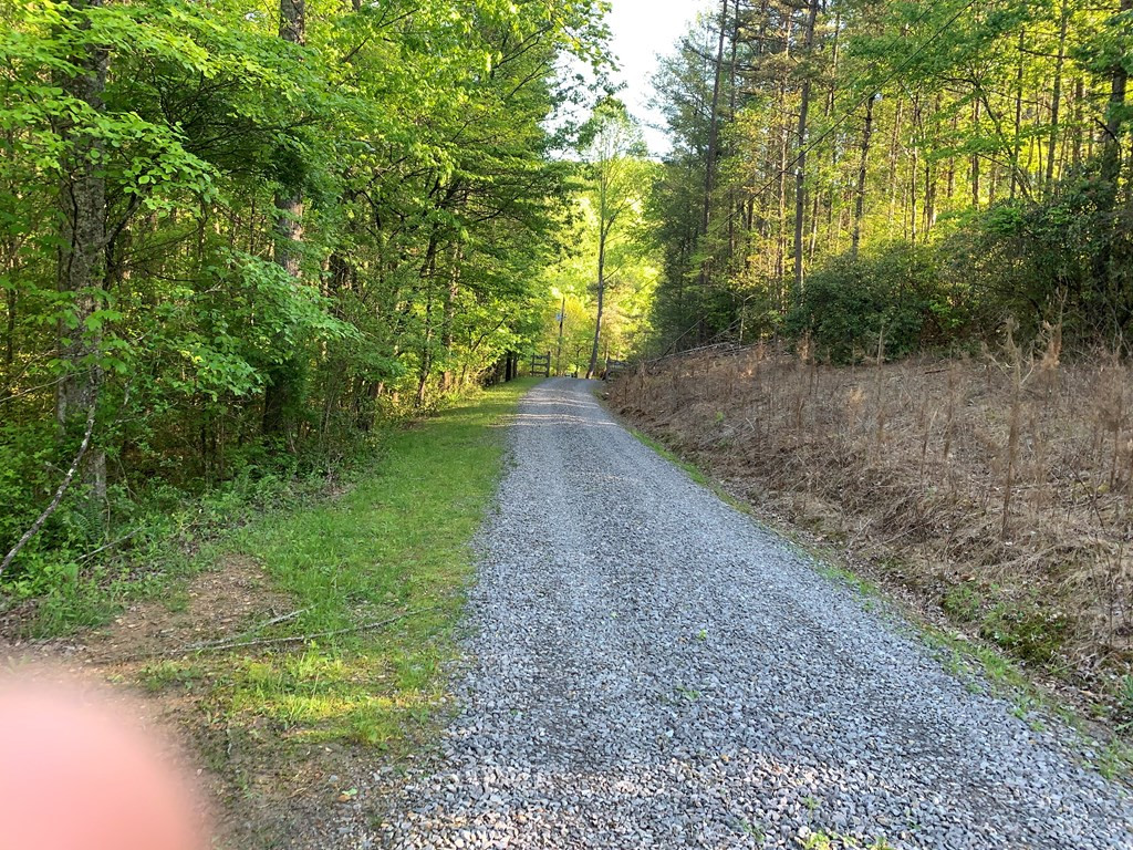 4 Hunter Vly Road Murphy, NC 28906 - Photo 12 of 16