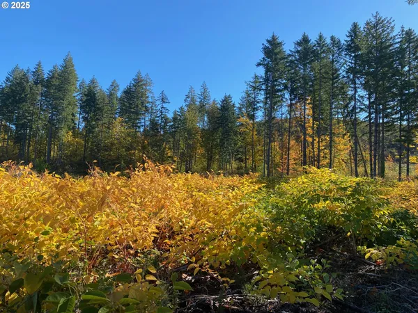 $874,999 | South Hult Road, Beavercreek, OR 97004