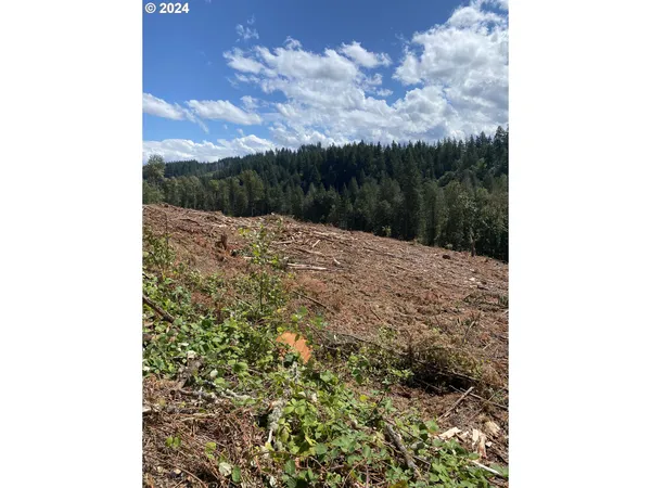 $874,999 | South Hult Road, Beavercreek, OR 97004