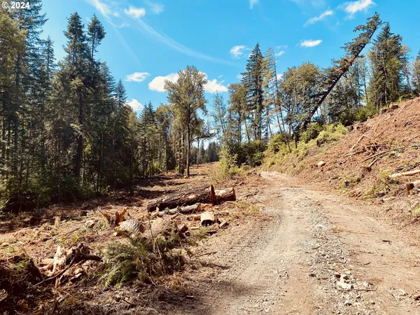 $874,999 | South Hult Road, Beavercreek, OR 97004