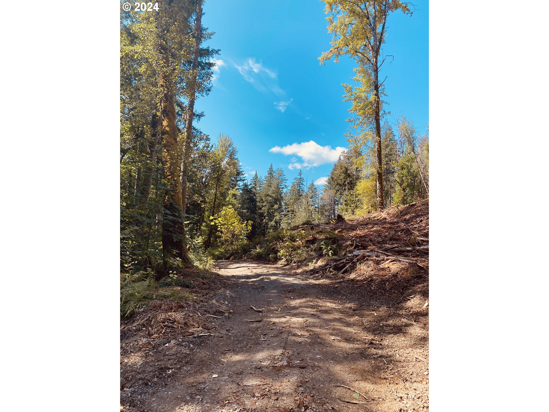 South Hult Road Beavercreek, OR 97004 - Photo 13 of 31