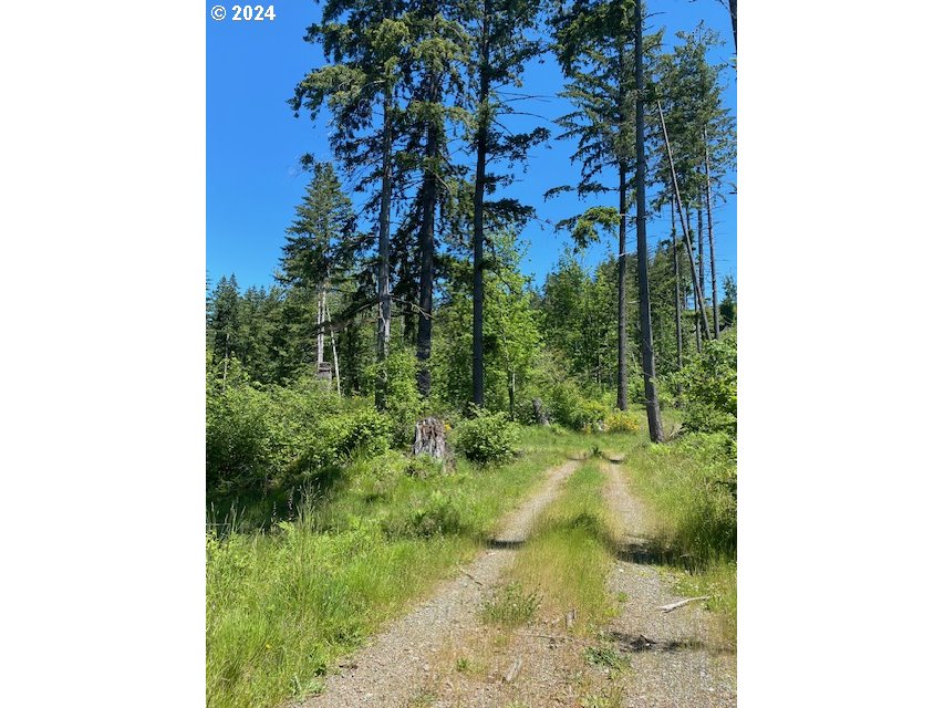 South Hult Road Beavercreek, OR 97004 - Photo 15 of 31