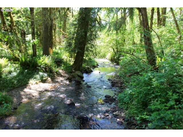 South Hult Road Beavercreek, OR 97004 - Photo 16 of 31 Creek