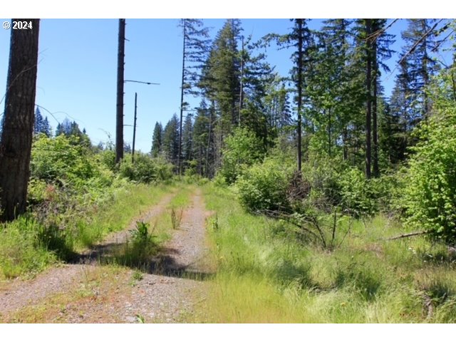 South Hult Road Beavercreek, OR 97004 - Photo 17 of 31