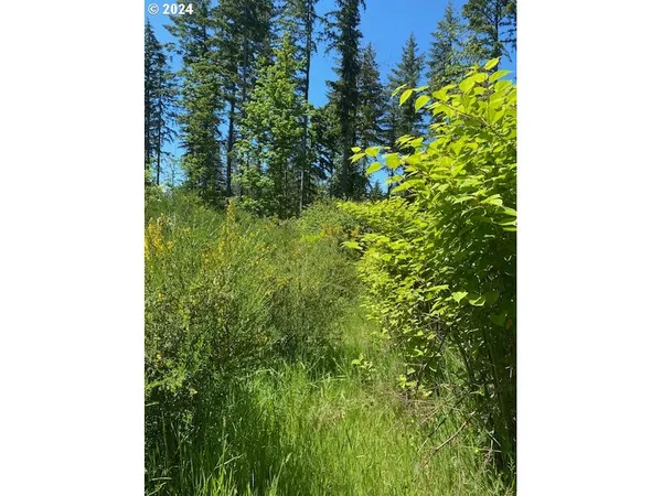 $874,999 | South Hult Road, Beavercreek, OR 97004