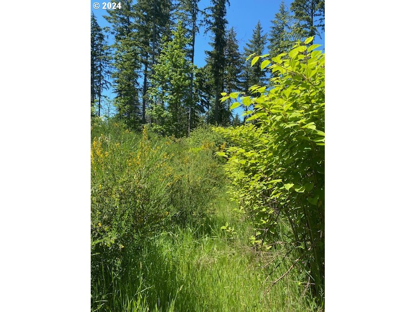 South Hult Road Beavercreek, OR 97004 - Photo 19 of 31