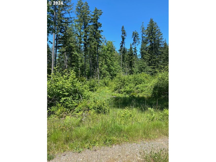 South Hult Road Beavercreek, OR 97004 - Photo 20 of 31