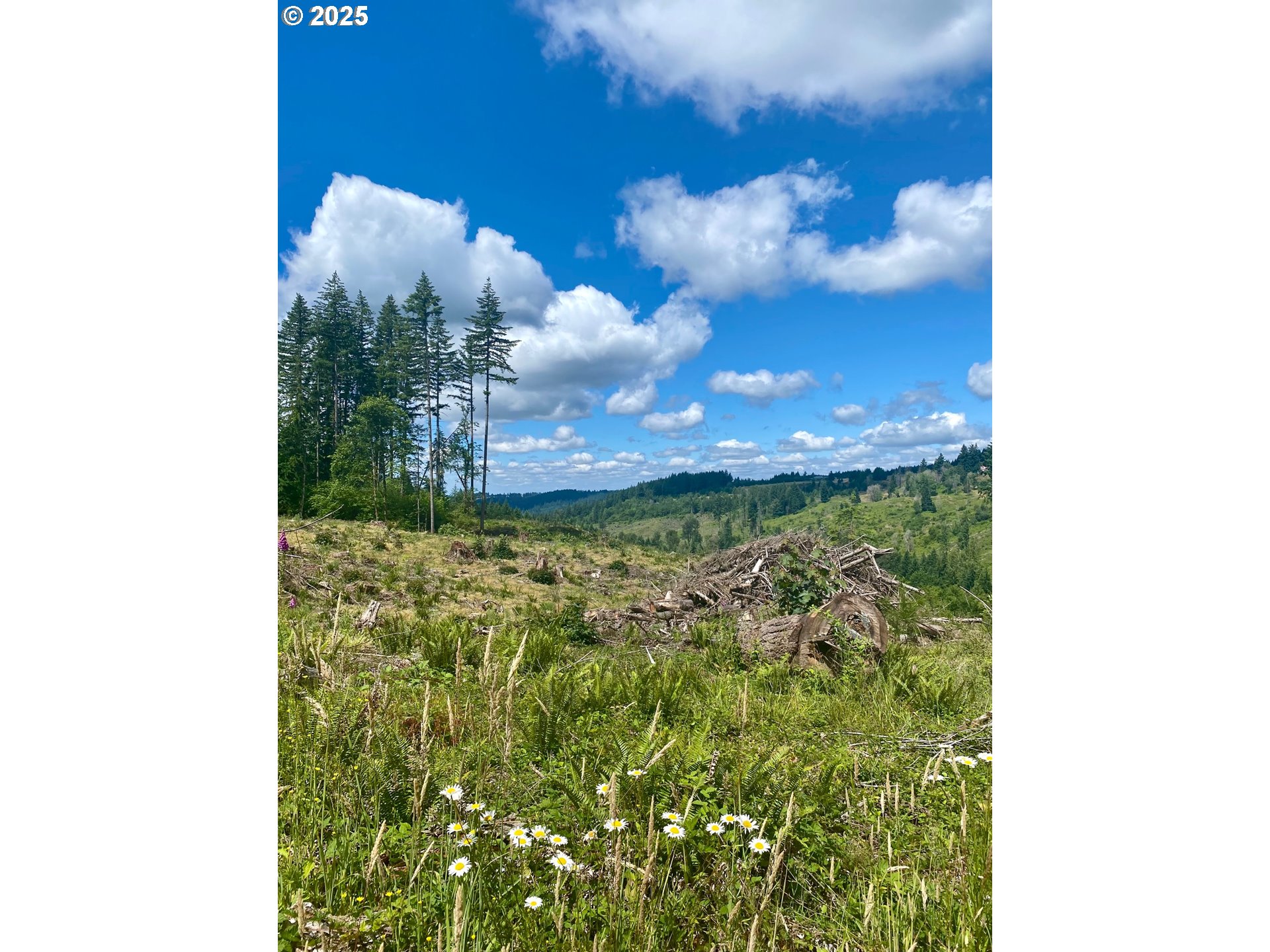 South Hult Road Beavercreek, OR 97004 - Photo 2 of 31