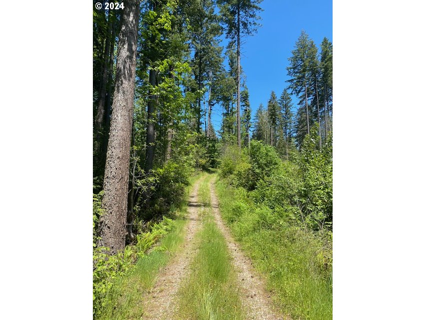 South Hult Road Beavercreek, OR 97004 - Photo 21 of 31