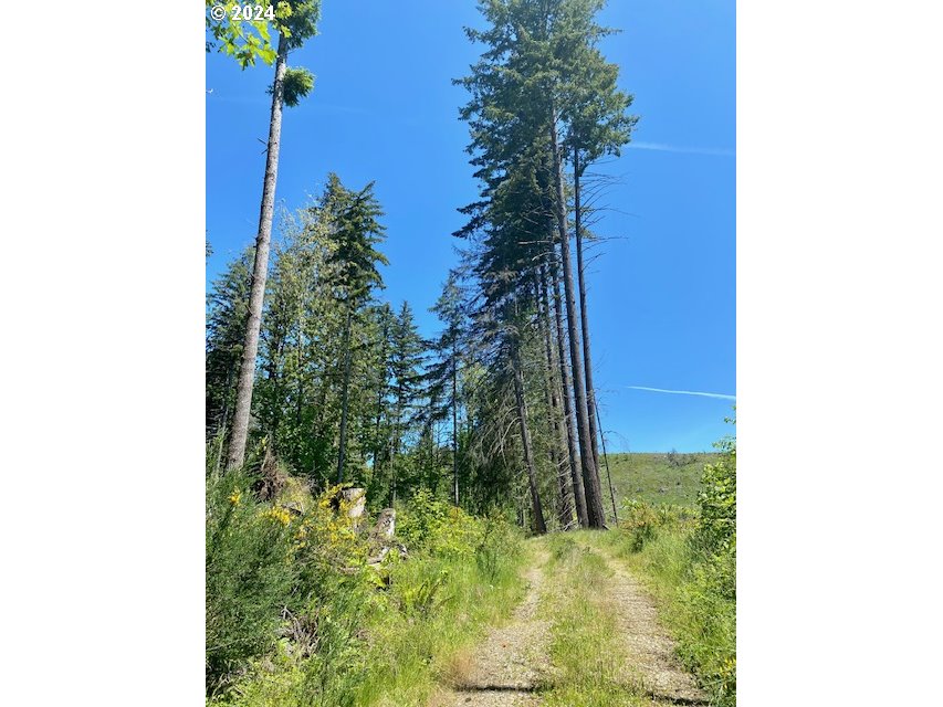 South Hult Road Beavercreek, OR 97004 - Photo 22 of 31