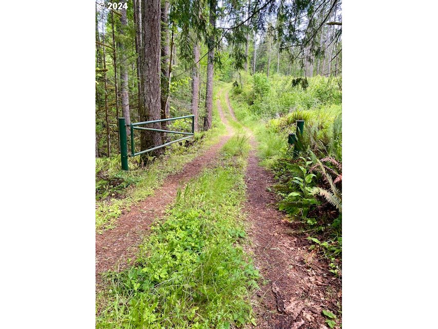 South Hult Road Beavercreek, OR 97004 - Photo 23 of 31