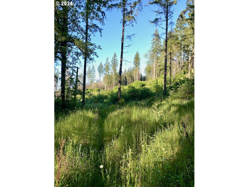 South Hult Road Beavercreek, OR 97004 - Photo 24 of 31