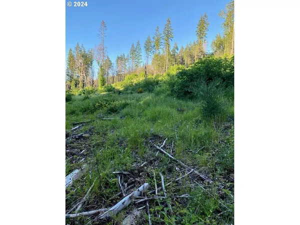$874,999 | South Hult Road, Beavercreek, OR 97004